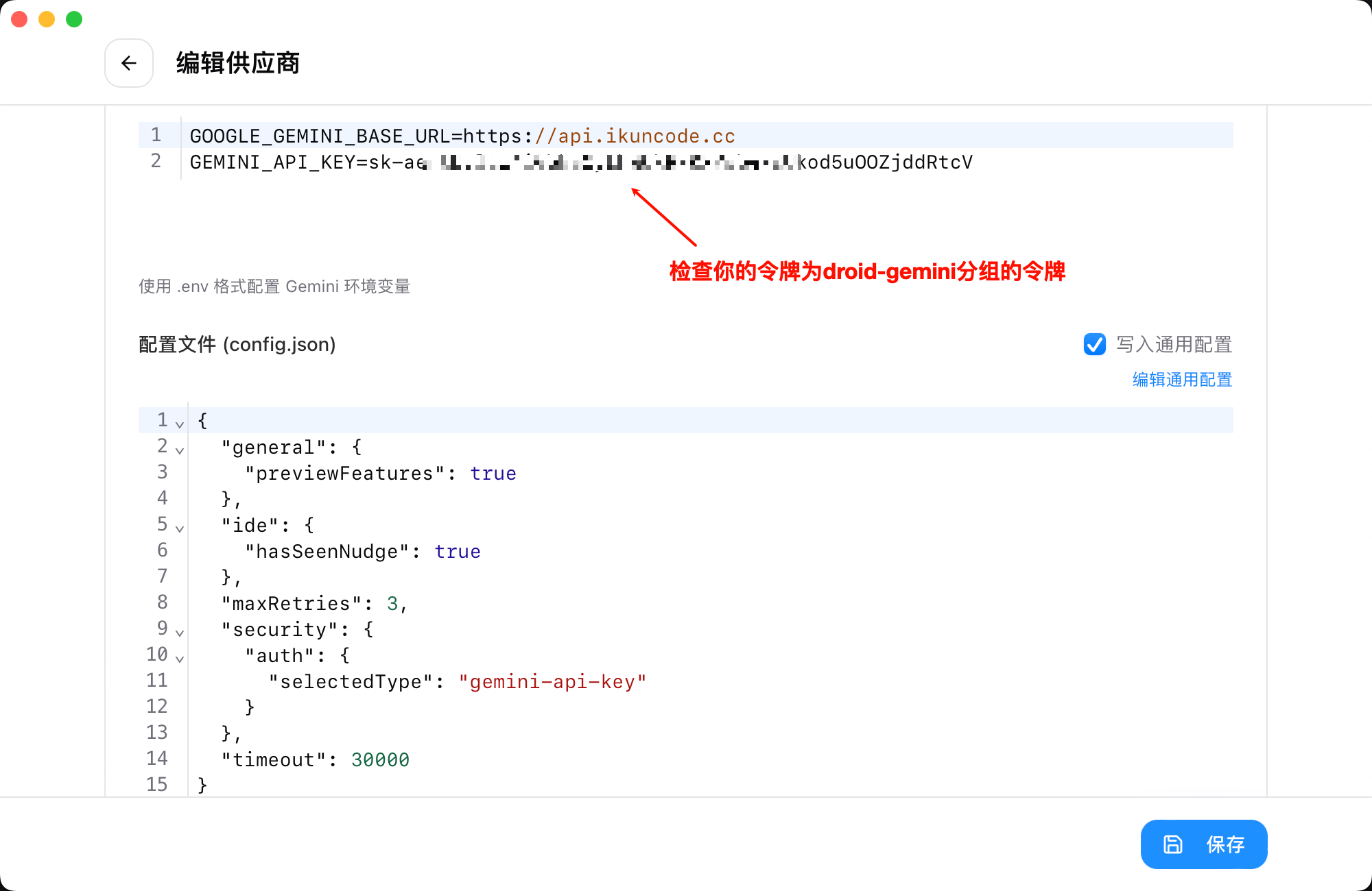 Gemini CLI Provider 配置详情