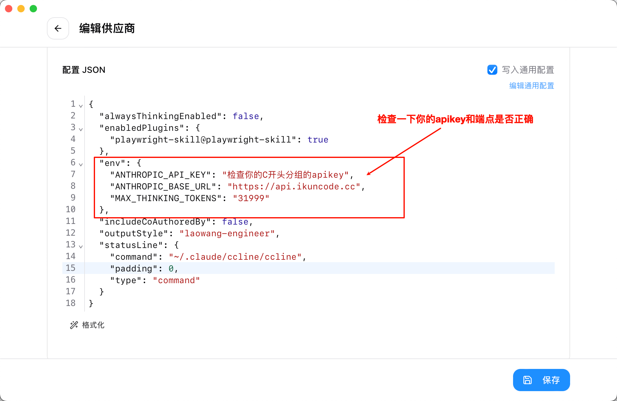 Claude Code Provider 配置详情
